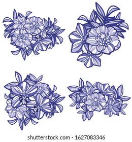 Flowers set. Collection of floral elements