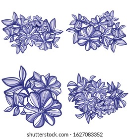 Flowers set. Collection of floral elements