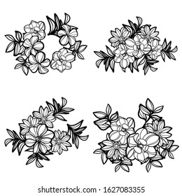 Flowers set. Collection of floral elements