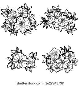 Flowers set. Collection of floral elements