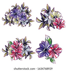 Flowers set. Collection of floral elements