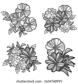 Flowers set. Collection of floral elements