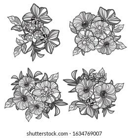 Flowers set. Collection of floral elements