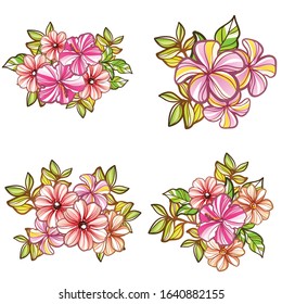 Flowers set. Collection of floral elements
