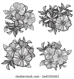 Flowers set. Collection of floral elements