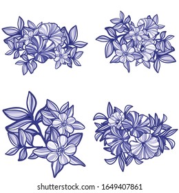 Flores puestas. Colección de elementos florales