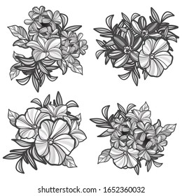Flores puestas. Colección de elementos florales