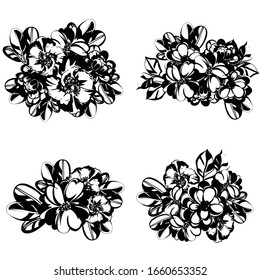 Flowers set. Collection of floral elements