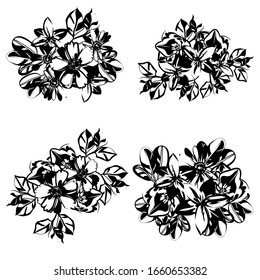 Flowers set. Collection of floral elements