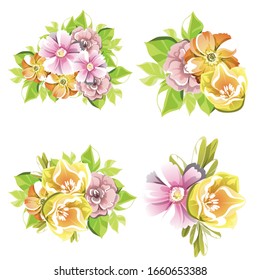 Flowers set. Collection of floral elements