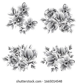 Flowers set. Collection of floral elements