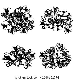 Flowers set. Collection of floral elements