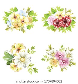 Flowers set. Collection of floral elements