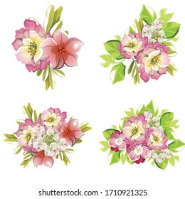 Flowers set. Collection of floral elements