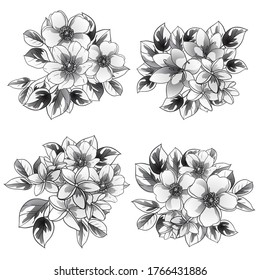 Flowers set. Collection of floral elements