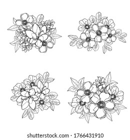Flowers set. Collection of floral elements