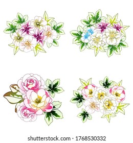 Flowers set. Collection of floral elements