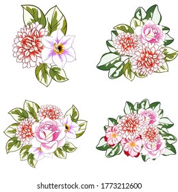 Flowers set. Collection of floral elements