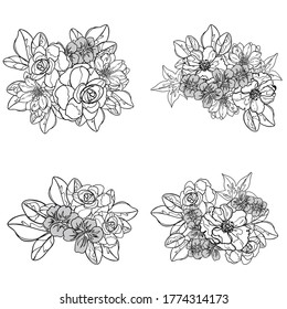 Flores puestas. Colección de elementos florales