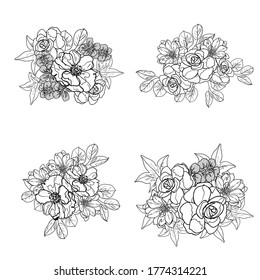 Flowers set. Collection of floral elements