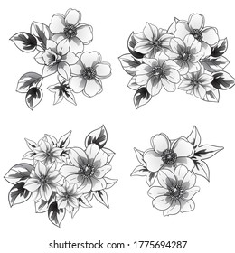 Flores puestas. Colección de elementos florales