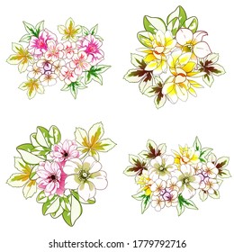 Flowers set. Collection of floral elements