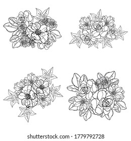 Flowers set. Collection of floral elements