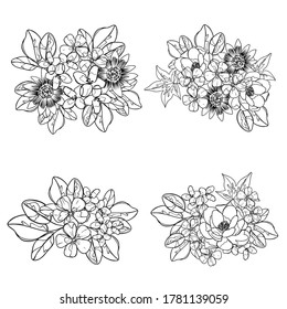 Flores puestas. Colección de elementos florales