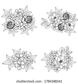 Flowers set. Collection of floral elements