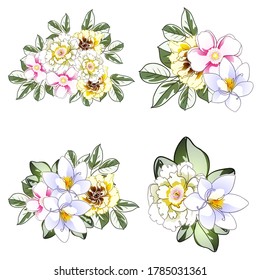 Flowers set. Collection of floral elements