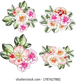 Flowers set. Collection of floral elements