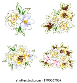 Flowers set. Collection of floral elements