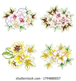 Flowers set. Collection of floral elements