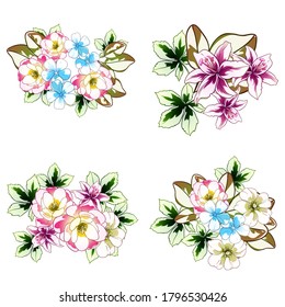 Flowers set. Collection of floral elements