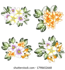 Flowers set. Collection of floral elements