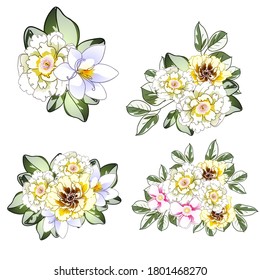 Flowers set. Collection of floral elements