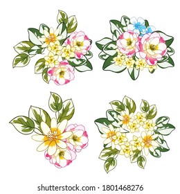 Flowers set. Collection of floral elements