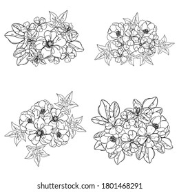 Flowers set. Collection of floral elements