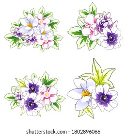 Flores puestas. Colección de elementos florales