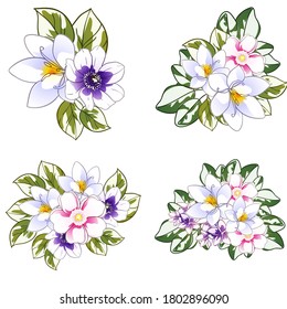 Flowers set. Collection of floral elements