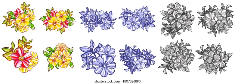Flowers set. Collection of floral elements