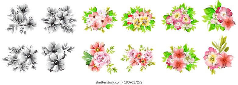 Flowers set. Collection of floral elements