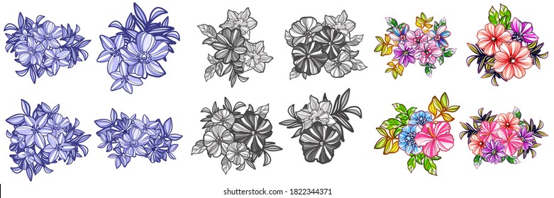 Flowers set. Collection of floral elements