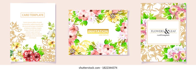 Flowers set. Collection of floral elements