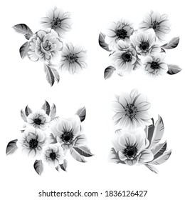 Flowers set. Collection of floral elements