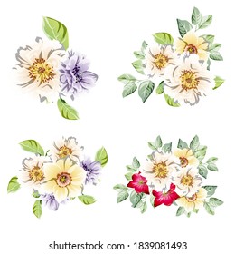 Flores puestas. Colección de elementos florales
