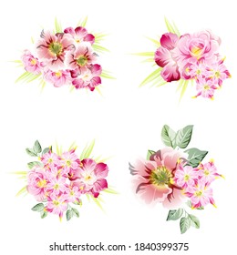 Flowers set. Collection of floral elements