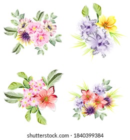 Flowers set. Collection of floral elements