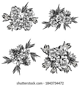 Flores puestas. Colección de elementos florales