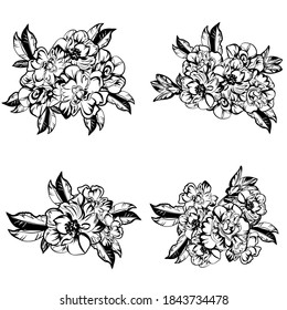 Flores puestas. Colección de elementos florales